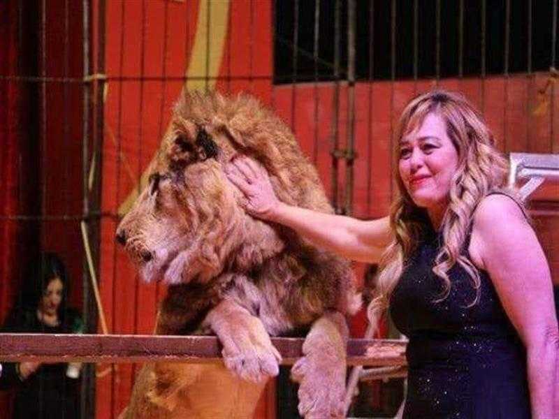 فاتن الحلو تروي رحلتها من السيرك إلى دار كبار الفنانين: قرار من أجل الكرامة والونس