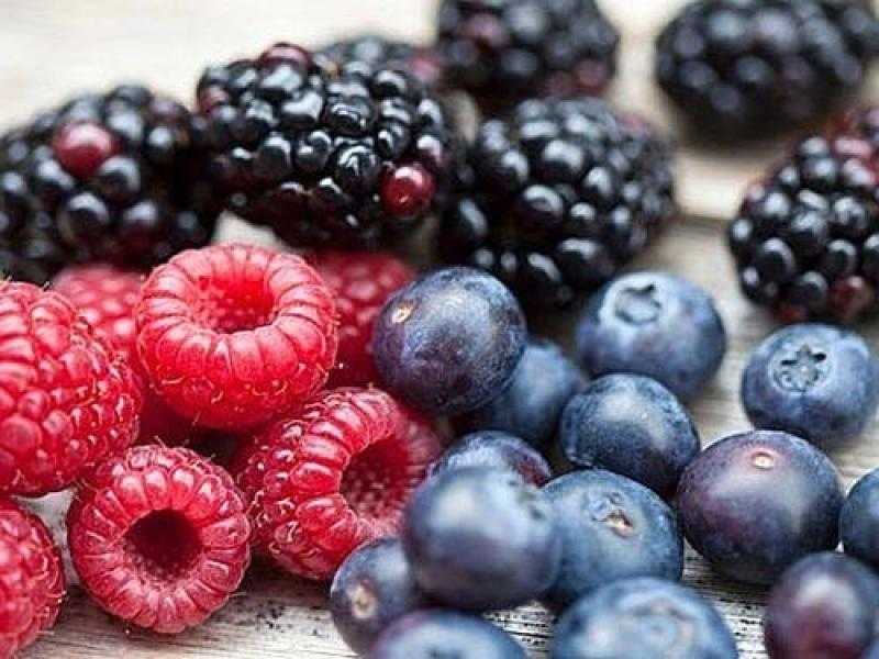 يحارب السرطان ويقي من أمراض القلب.. تعرف على فوائد التوت