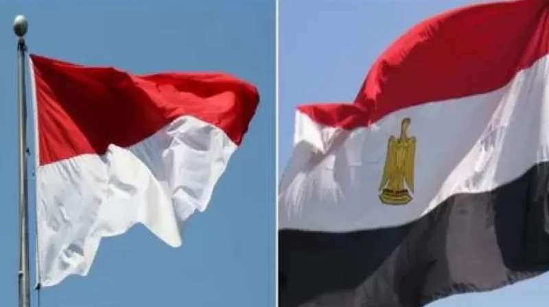 مصر وإندونيسيا