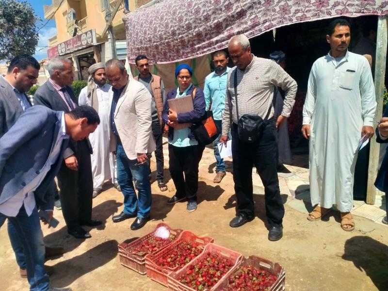 تحرير 98 محضر مخالفة وتحصيل غرامات فورية بقيمة 48 ألف جنيه خلال حملات رقابية مكثفة لضبط الأسواق بالإسكندرية