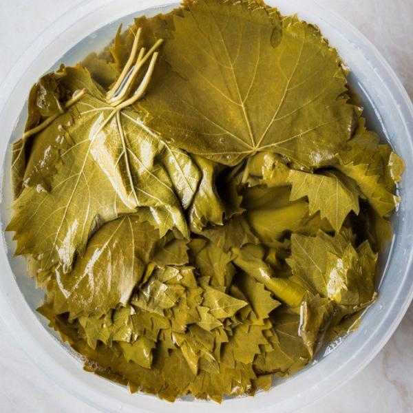 طرق تخزين ورق العنب.. تفاصيل