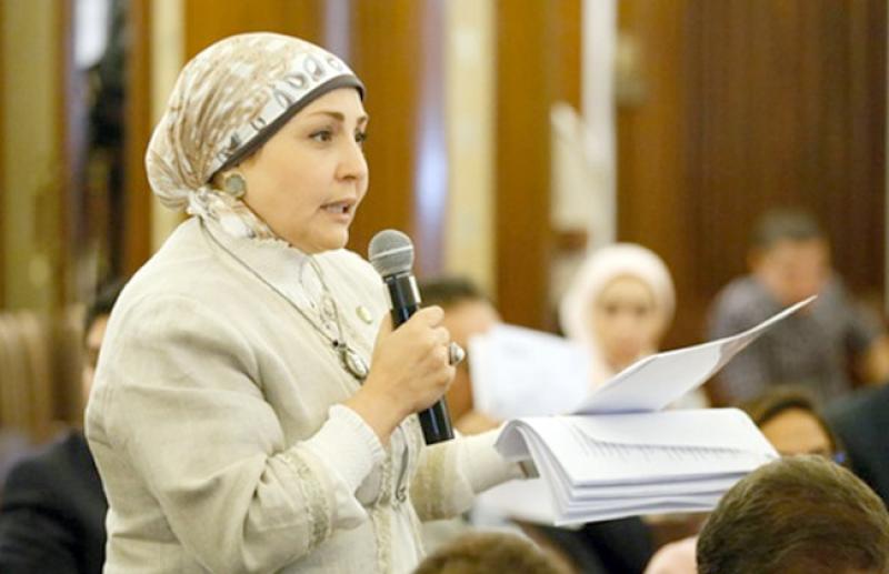 النائبة هالة أبو السعد، وكيلة لجنة المشروعات الصغيرة والمتوسطة بمجلس النواب