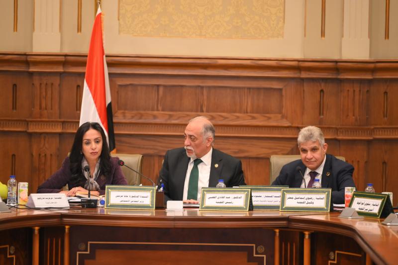 وزيرة التضامن الاجتماعي 