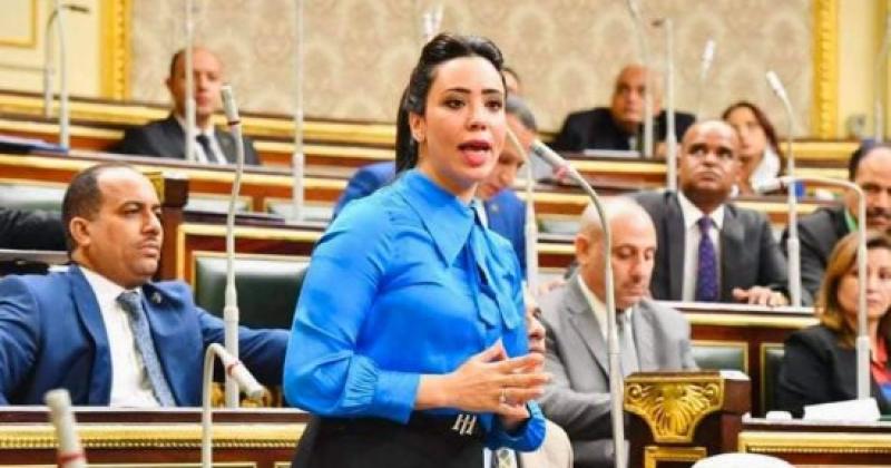 النائبة غادة علي عضو مجلس النواب