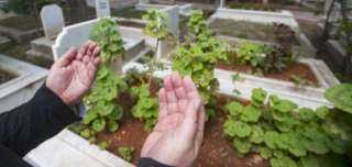 على مَن تجب نفقة تجهيز الميت؟.. الإفتاء تجيب