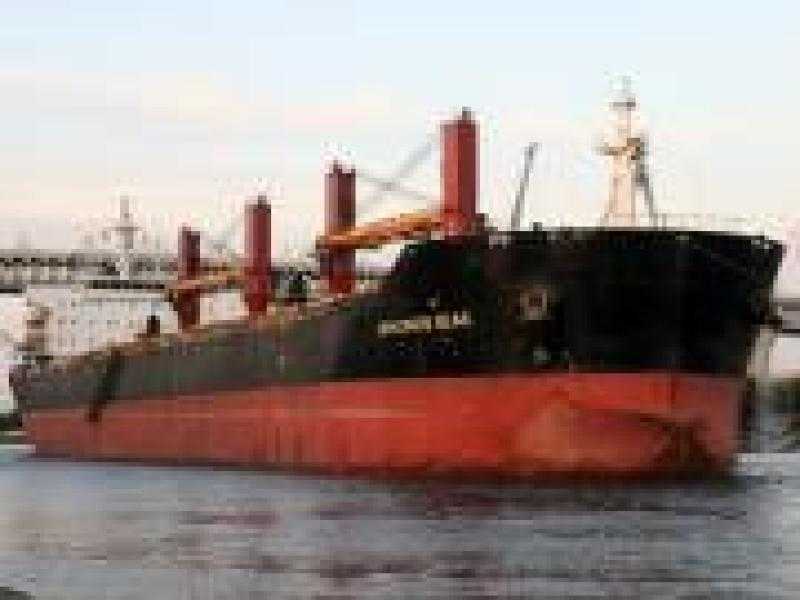 تداول 52 ألف طن و595 شاحنة بضائع عامة ومتنوعة بموانئ البحر الأحمر