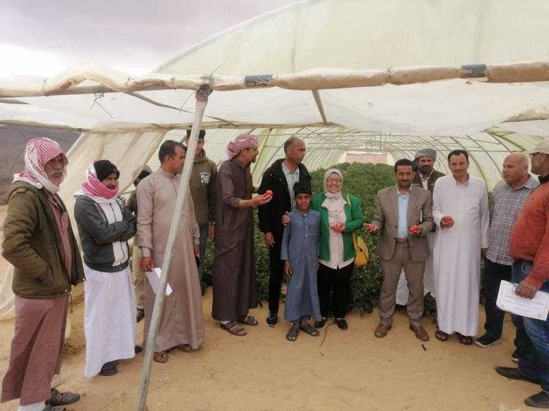 مركز بحوث الصحراء ينظم ورشة عمل علمية حول الزراعة العضوية بمحطة المغارة في شمال سيناء