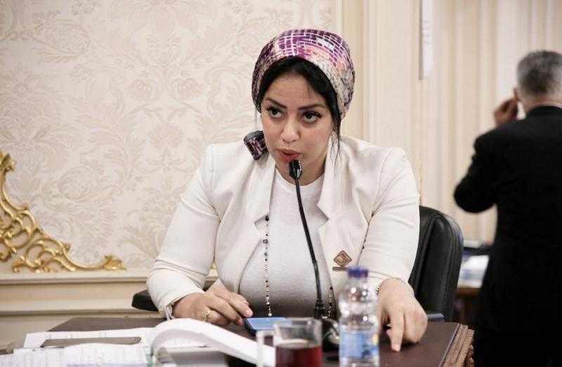 النائبة ”رشا كليب” تعلن موافقتها على الحساب الختامي لموازنة 2023-2024