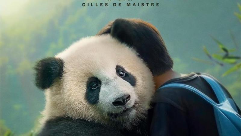 بوستر فيلم Moon the Panda