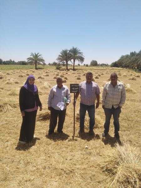 إزالة ٦ حالات تعدى بالبناء على أرض زراعية على مساحة ١٤٦٥ متر واسترداد ١٠٣ ألف و٥٣٥ متر أراضي أملاك دولة بأرمنت بالأقصر