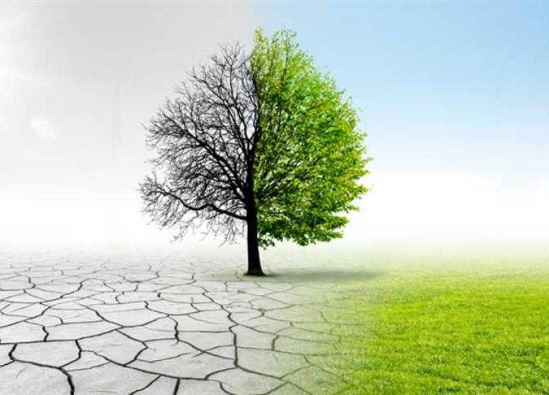 رئيس حزب البيئة العالمي يحذر من خطر كبير يحدق بكوكب الأرض