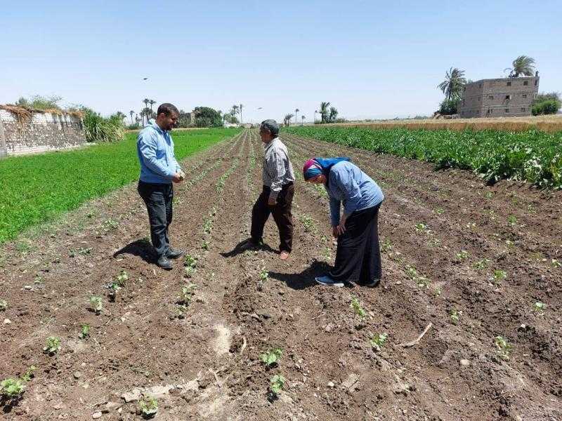 وكيل وزارة الزراعة بأسيوط يتفقد زراعات القطن الحديثة بمركز أبنوب