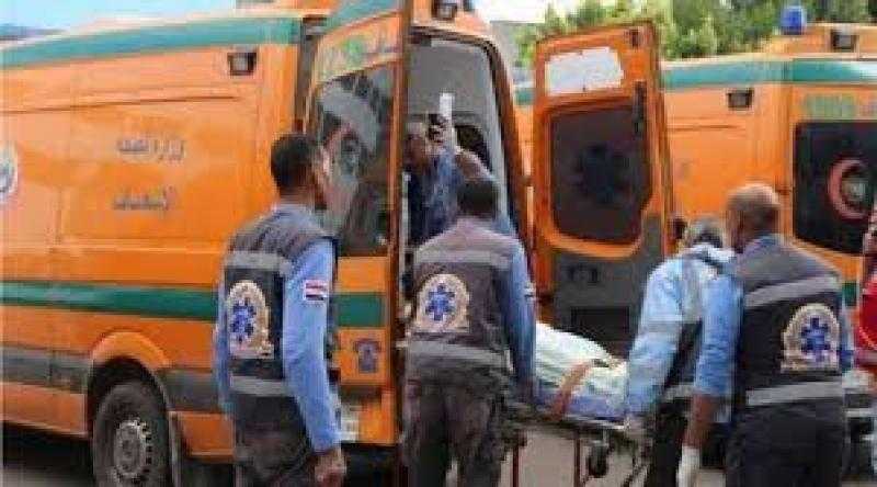 ضبط سائق أتوبيس دهس أبا ونجله بطريق صلاح سالم