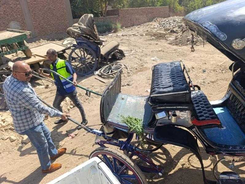 مجلس مدينة الأقصر يتحفظ على عدد (2) عربة حنطور مخالفين