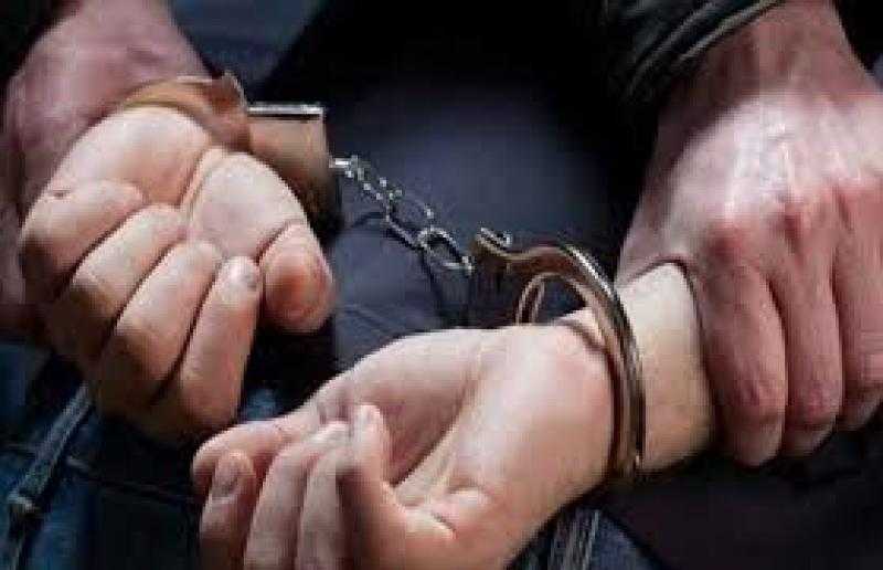 الأمن يكشف ملابسات فيديو سرقة هاتف فتاة بالسيدة زينب