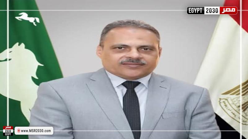 محافظ الشرقية