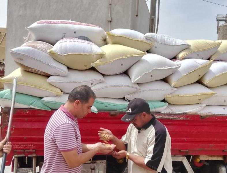 توريد القمح في الجيزة يتجاوز 2000 طن بأول أسبوع