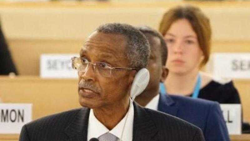 السودان يتولى رئاسة المجموعة الأفريقية بـ جنيف