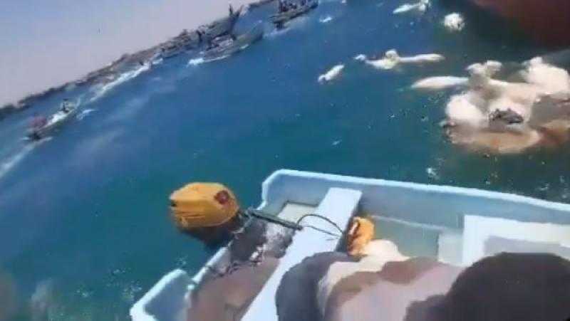 غرق سفينة في خليج عدن تحمل آلاف الأغنام