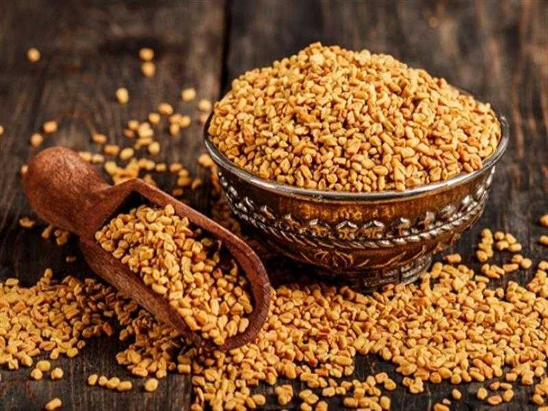 تزيد من إنتاج اللبن وتعمل على خسارة الوزن.. فوائد الحلبة