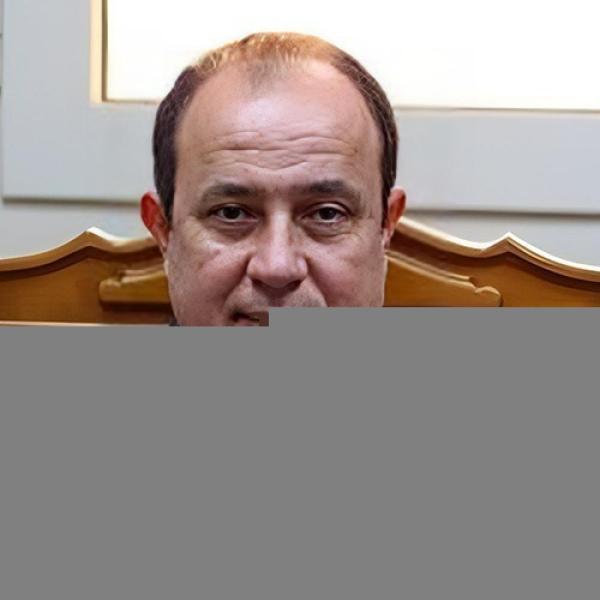 المستشار وجدي عبد المنعم