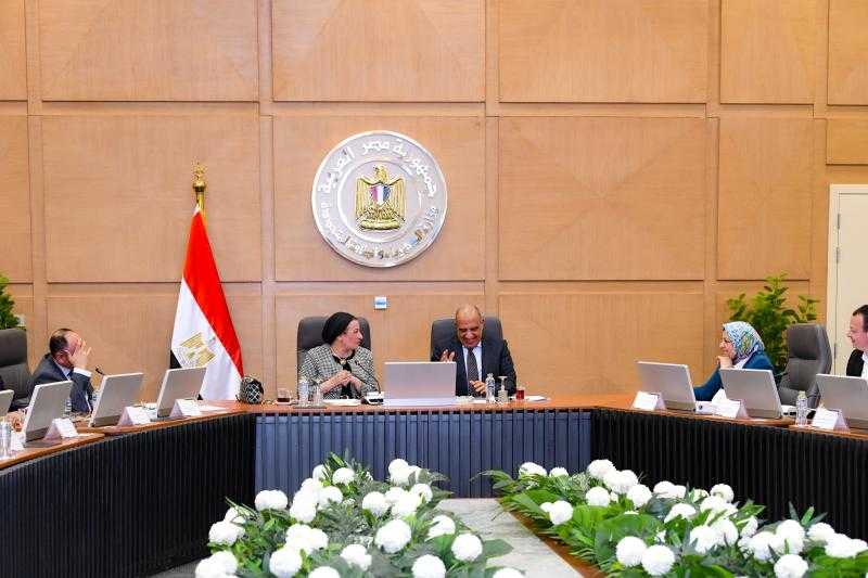 وزيرا البيئة والكهرباء والطاقة المتجددة يبحثان سبل العمل المشترك والتنسيق والتعاون فى قضايا البيئة والطاقات المتجددة