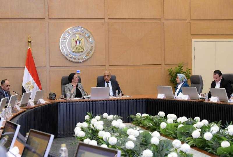 وزيرا الكهرباء والبيئة يبحثان سبل التعاون في القضايا البيئية والطاقات المتجددة