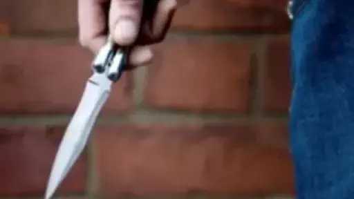 تجديد حبس عامل بتهمة قتل منجد في السلام