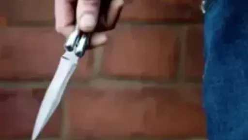 بعد تداول فيديو استغاثة والدته.. ضبط شخص هدد... بعد تداول فيديو استغاثة والدته.. ضبط شخص هدد أسرته بسلاح أبيض فى الساحل