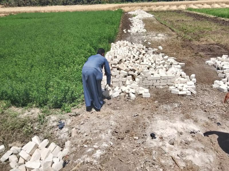 محافظة الأقصر 