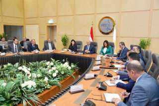 وزير الصناعة والنقل يتابع مع عدد من الوزراء والمحافظين الموقف التنفيذي لمشروعات التنمية الصناعية ببرنامج التنمية المحلية بصعيد مصر