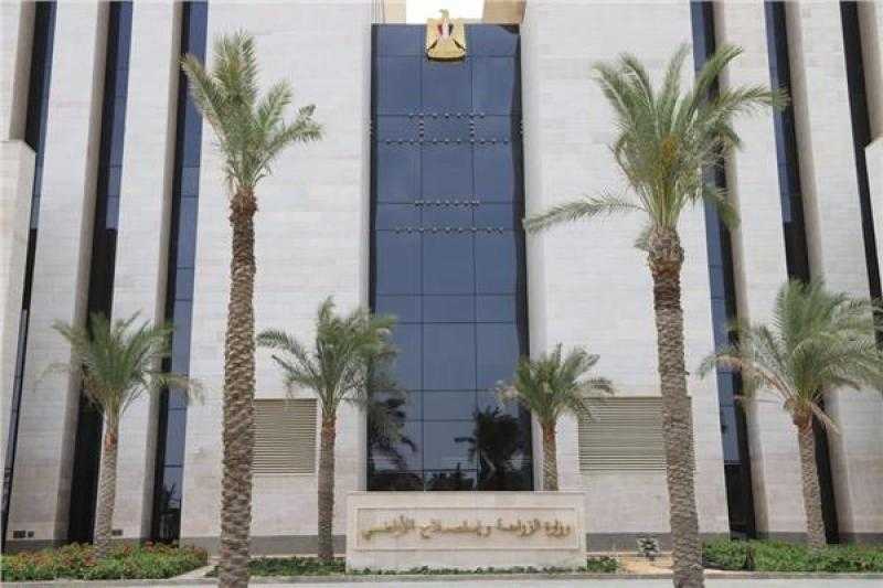 ”الزراعة” تتابع عمليات حصاد البطاطس في المناطق الخالية من العفن البني
