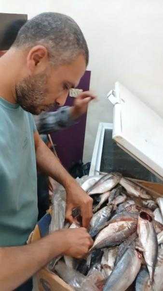 بيطري المنوفية : ضبط أكثر من 14 ألف كجم لحوم ودواجن وأسماك غير صالحة للاستهلاك الآدمي وتحرير 50 محضر مخالفات