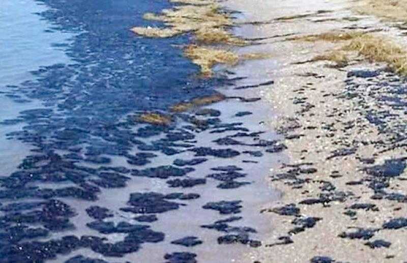 «البيئة» تتخذ إجراءات عاجلة لاحتواء تلوث بترولي قرب مدينة أبورديس.. وإرسال العينات للفحص