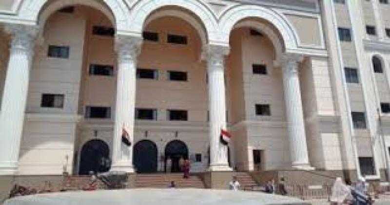 حكم قضائى بإحالة أوراق سائق للمفتى قتل شخص وشروع فى إنهاء حياة 4 آخرين