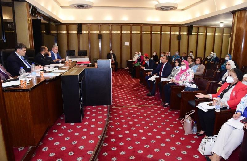 صحة النواب توافق نهائيا على قانون مزاولة مهنة الصيدلة