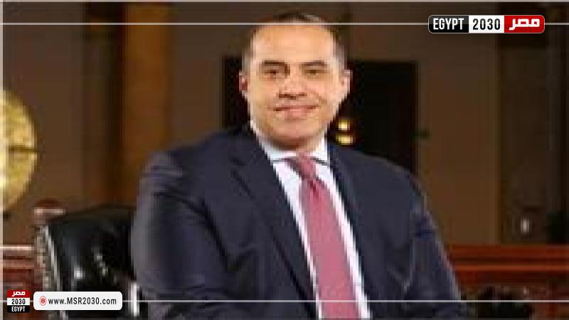 وزير شئون المجالس النيابية