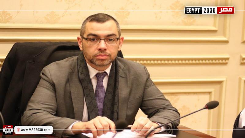 الدكتور محمد فؤاد، الخبير الاقتصادي