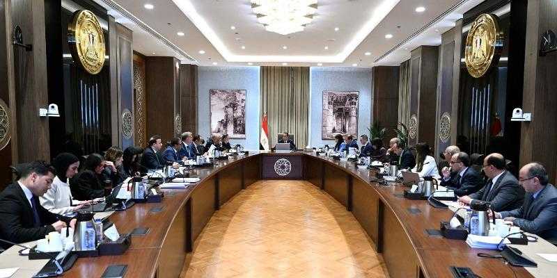 تعديل حكومي جديد يقلص قائمة الكلاب الخطرة من 16 نوع إلى 3 أنواع فقط