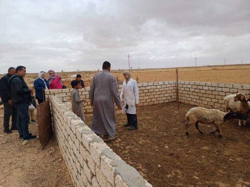 بحوث الصحراء يواصل دعم مزارعي ومربي مطروح بقوافل بيطرية مجانية
