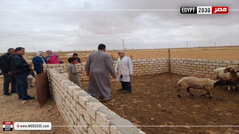 بحوث الصحراء