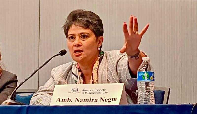 مديرة المرصد الإفريقي للهجرة: اختيار أمريكا للقوة فقط بديلا عن القانون كارثة عليها وعلى العالم