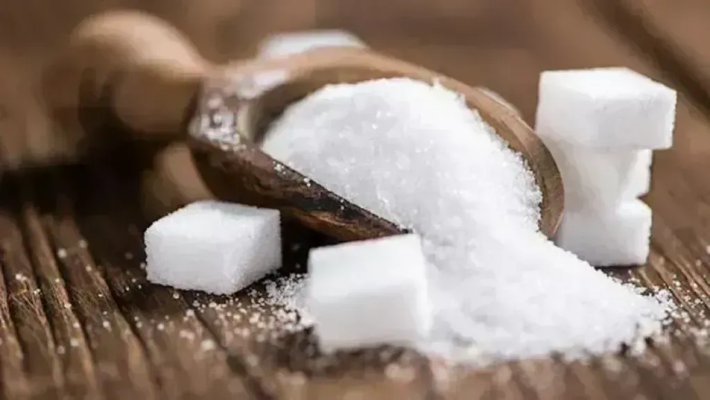 سعر طن السكر اليوم