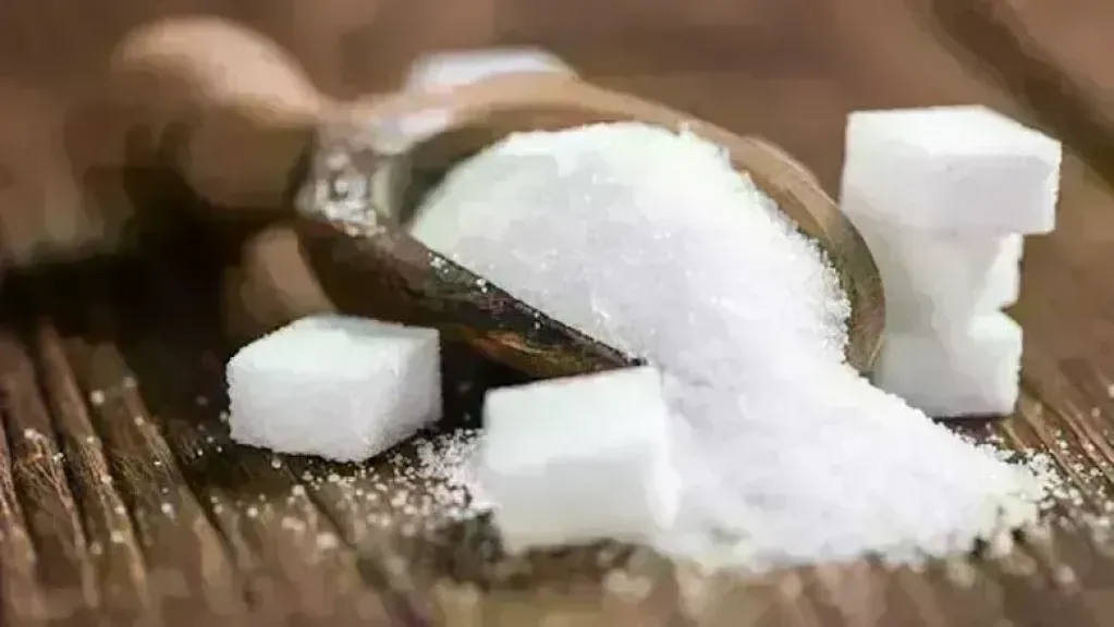 سعر طن السكر اليوم