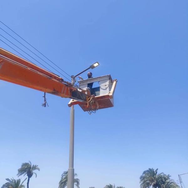 قرية النخيلة في مركز أبوتيج