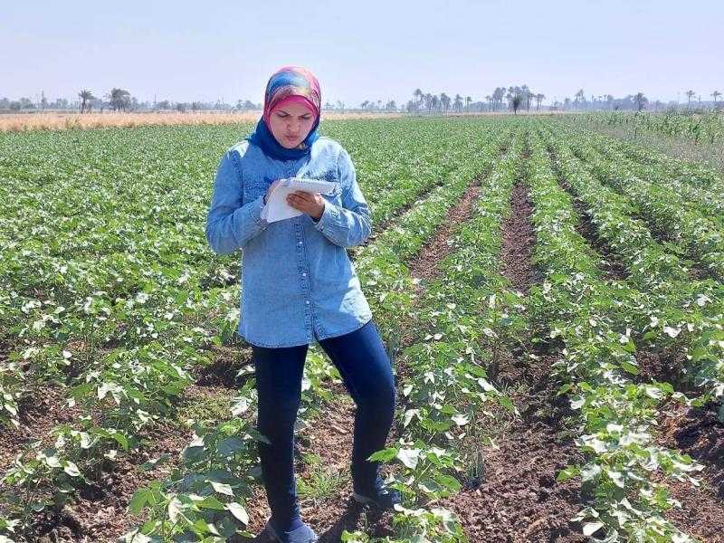 مديرية الزراعة بأسيوط تراقب زراعات القطن بمركز أسيوط