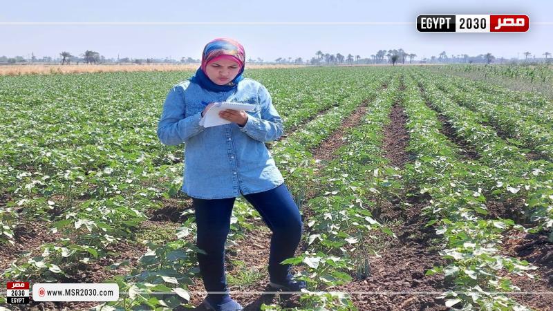 مديرية الزراعة بأسيوط