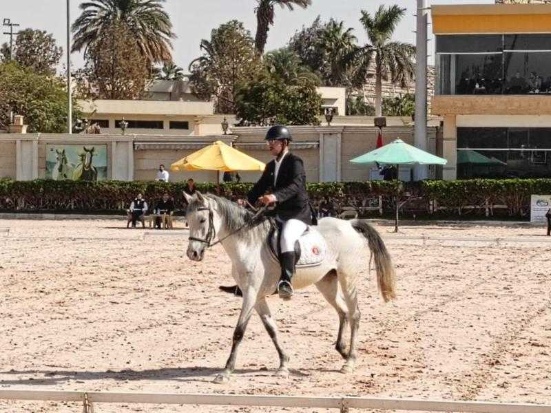 غدا.. إنطلاق نهائي بطولة الجمهورية للفروسية لقادرون باختلاف لذوي الهمم