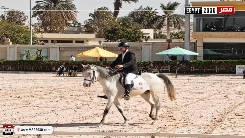 بطولة الجمهورية للفروسية