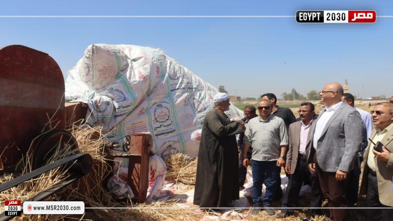 محافظ القليوبية